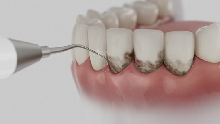 Reliable Dental contractor in Rockville, MN by Dentist Open Now